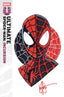 DF ULT SPIDER-MAN INCURSION #1 BLANK VAR SGN AND REMARK #CVR A Comics Dynamite Entertainment