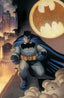 Detective Comics (2016) #1027 Franck Cho & Sabine Rich Torpedo Comics "Virgin" Exclusive Var Comics - Back Issues DC Comics