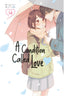 A Condition Called Love GN 14 Trades/Hard Covers Kodansha Comics