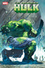 Incredible Hulk (2023) #27 1:25 Bianchi Var Comics - Back Issues Marvel Comics