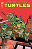 Teenage Mutant Ninja Turtles (2024) #12 1:25 Edgar Var Comics - Back Issues IDW