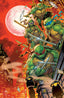 Teenage Mutant Ninja Turtles (2024) #12 1:50 Jonboy Meyers Var Comics - Back Issues IDW