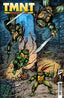 TMNT Journeys #01 Kevin Eastman Var Comics - Back Issues IDW