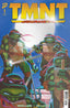 TMNT Journeys #01 1:10 Peter Laird & Michael Dooney "Foil" Var Comics - Back Issues IDW