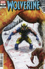 Wolverine (2024) #12 Juan Ferreyra Var Comics - Back Issues Marvel Comics
