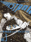 Search and Destroy GN 03 Trades/Hard Covers Fantagraphics Underground