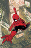 Amazing Spider-Man Torn #01 1:100 Adam Hughes Var Comics - Back Issues Marvel Comics