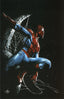 Non-Stop Spider-Man #01 Dell'Otto Unknown Comics "Virgin" Exclusive Comics - Back Issues MARVEL COMICS