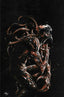 Venom (2018) #27 Gabriele Dell'Otto Unknown Comics Virgin Exclusive Comics - Back Issues Marvel Comics