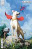 Krypto The Last Dog of Krypton #05 David Talaski Var Comics - Back Issues DC Comics