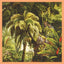 Xiu Xiu - La Foret Media 5 Rue Christine