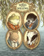 Wind In The Willows TP Trades/Hard Covers IDW
