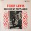 Furry Lewis - Back On My Feet Again