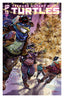 Teenage Mutant Ninja Turtles (2024) #13 Jared Cullum Var Comics - Back Issues IDW