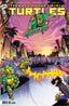 Teenage Mutant Ninja Turtles (2024) #13 Daniel Warren Johnson Var Comics - Back Issues IDW