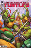 Teenage Mutant Ninja Turtles (2024) #13 1:250 Nakayama Var Comics - Back Issues IDW