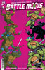 Teenage Mutant Ninja Turtles Battle Nexus #04 Ken Mitchroney & Dan Schoening Var Comics - Back Issues IDW