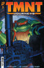 TMNT Journeys #03 Comics - Back Issues IDW