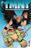 TMNT Journeys #03 Eric Talbot Var Comics - Back Issues IDW