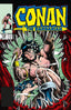 Conan the Barbarian Original Marvel Years Omnibus HC 07 Mike Docherty Cvr Trades/Hard Covers Titan Comics