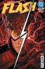 Absolute Flash #10 Comics - Back Issues DC Comics