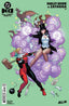 DC KO Harley Quinn vs Zatanna #01 Frank Cho Var Comics - Back Issues DC Comics