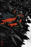 Rook Exodus #09 1:25 Derek Kirk Kim Var Comics Image Comics