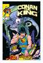 Conan the King (1984) Omnibus HC 02 Mike Kaluta Cvr