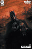 Batman and Robin (2023) #29 Martin Simmonds Var