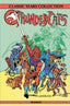 ThunderCats Classic Years Collection Omnibus HC Brett Breeding & Jim Mooney Cvr Trades/Hard Covers Dynamite Entertainment