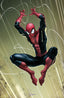 Amazing Spider-Man (2025) #20 1:50 Clayton Crain Var Comics - Back Issues Marvel Comics