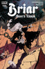 Briar Night's Terror #02 Comics Boom! Entertainment