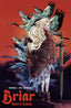 Briar Night's Terror #02 Soo Lee Var Comics Boom! Entertainment