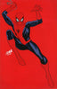 Amazing Spider-Man (2025) #21 1:50 David Nakayama Var Comics - Back Issues Marvel Comics