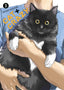 Cat + Crazy GN 03 Trades/Hard Covers Dark Horse Comics
