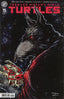 Teenage Mutant Ninja Turtles (2024) #15 Kevin Eastman & Ben Bishop Var Comics - Back Issues IDW