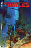 Teenage Mutant Ninja Turtles (2024) #15 Viktor Farro Var Comics IDW