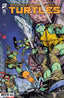 Teenage Mutant Ninja Turtles (2024) #15 1:50 Emma Kubert Var Comics IDW