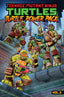 Teenage Mutant Ninja Turtles Power Pack TP 03 Trades/Hard Covers IDW