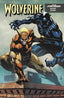 Wolverine (2024) #15 Geoff Shaw Var Comics - Back Issues Marvel Comics