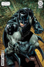 Absolute Batman #17 Dan Panosian Var Comics DC Comics