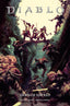 Diablo Dawn of Hatred #01 Andrea Olimpieri Var Comics - Back Issues Titan Comics