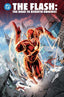 Flash The Road to Rebirth Omnibus HC Trades/Hard Covers DC Comics