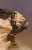 Rook Exodus #10 1:20 Jules Mamone Var