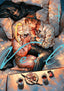 Veil GN 04 Transparent Burns Trades/Hard Covers UDON Entertainment