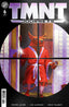TMNT Journeys #06 1:10 Michael Dooney & Jim Lawson "Foil" Var Comics IDW
