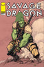 Savage Dragon (1993) #280 Brett Booth & Livesay Var Books Image Comics