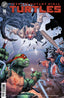 Teenage Mutant Ninja Turtles (2024) #16 Comics IDW
