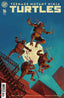 Teenage Mutant Ninja Turtles (2024) #16 1:75 Greg Smallwood Var Comics IDW