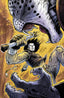 Teenage Mutant Ninja Turtles Casey Jones #06 1:25 Tadd Galusha Var